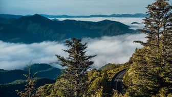 Layered Blue Ridge Mountain ridge-lines rising above a valley of low clouds, with a winding mountain road and evergreen forest in the foreground, Virginia.